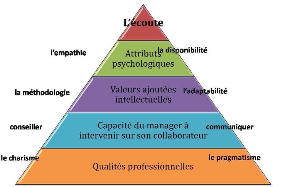 pyramid Formation Manager Coach Tunisie